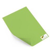 folia® Tonpapier 130g/m² 10 Bogen Hellgrün...