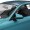 Oracal® 970 Premium Shift Effect Cast Autofolie M989 Türkis-Lavendel Matt, (Bild 1) Nicht farbechte Beispieldarstellung