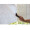 ASLAN® FilmicTape TF 100 (1,00m x 100m), (Bild 2) Nicht farbechte Beispieldarstellung